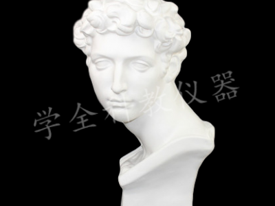 小衛