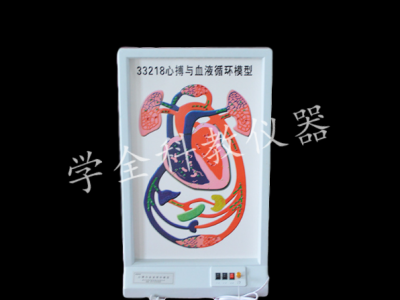 心博與血液循環模型