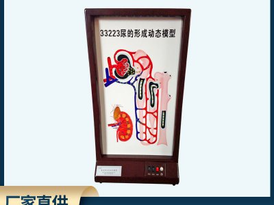 尿的形成動態模型電動高中生物理液過程演示實驗儀器師教學