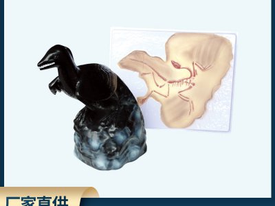 始祖鳥化石及復原模型 生物科教儀器 小學初高中生物科學批發