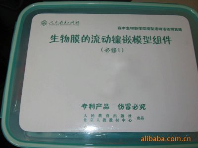 供應生物教學器材細胞膜流動鑲嵌模型