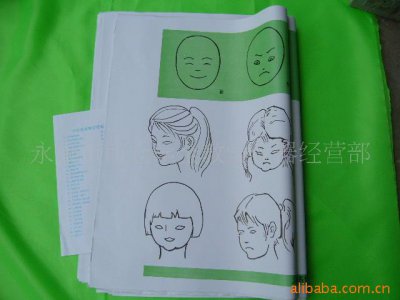 供應批發小學 初中 美術教學掛圖