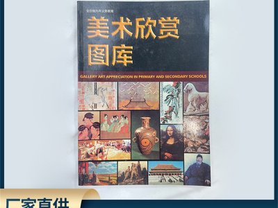 廠家直供中小學美術欣賞圖庫 美術欣賞圖庫 教學儀器美術教科書