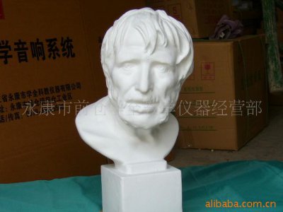 供應寫生教具石膏像批發定制